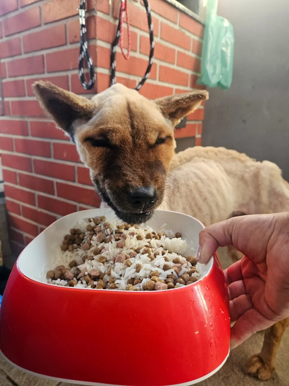 Guerreiro antes do resgate